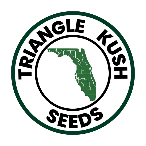 Triangle Kush Seeds